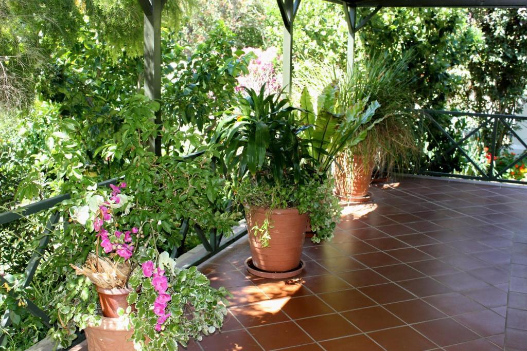Somerset Lodge Montagu Exterior foto